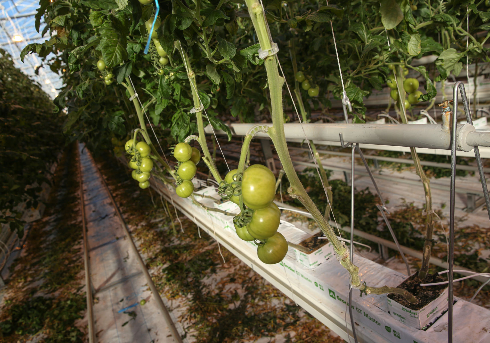 Bushel Boy Farms - Mason City tour-6.jpg
